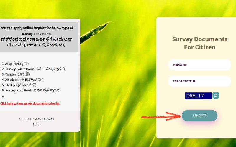 Requesting Survey Document