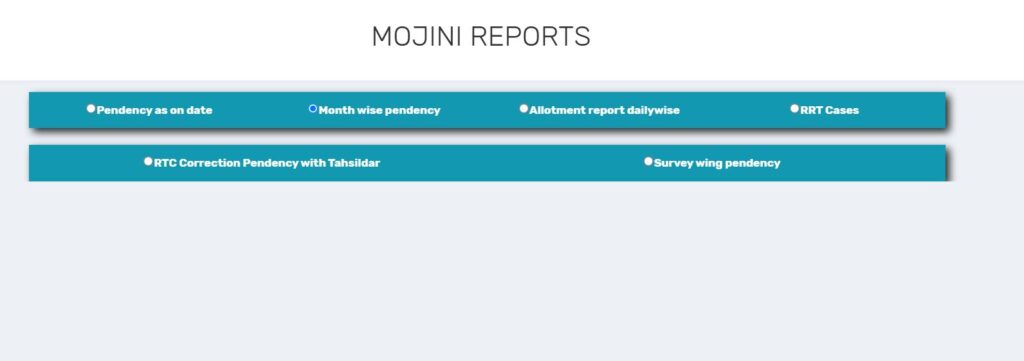 Mojini Report (Monthwise Pendency)